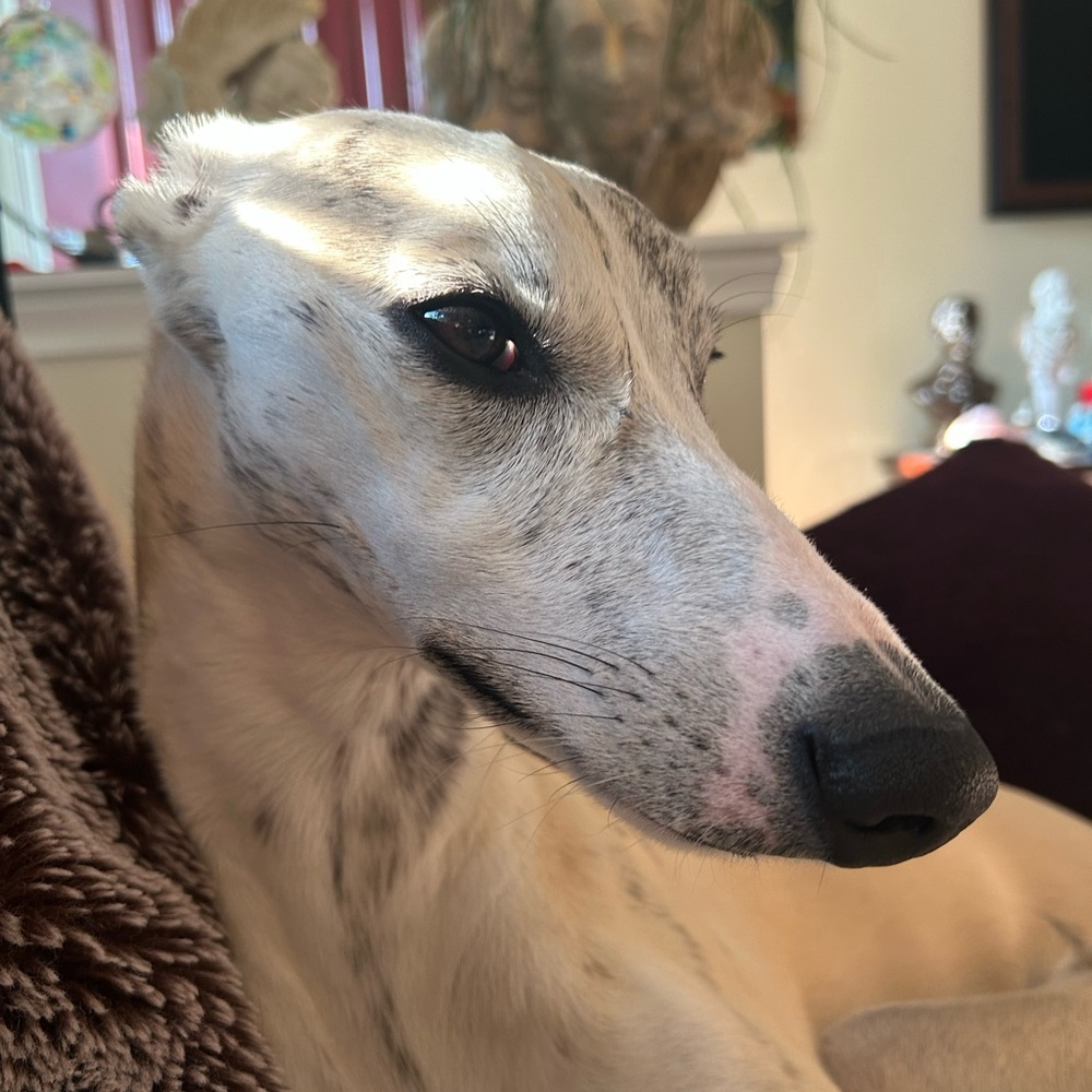 Meet your Posher, Jeanne